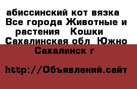 абиссинский кот вязка - Все города Животные и растения » Кошки   . Сахалинская обл.,Южно-Сахалинск г.